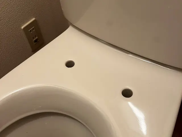 夜間・早朝対応◎細部まで徹底クリーニング！ウォシュレット分解洗浄オプションありサービスの画像