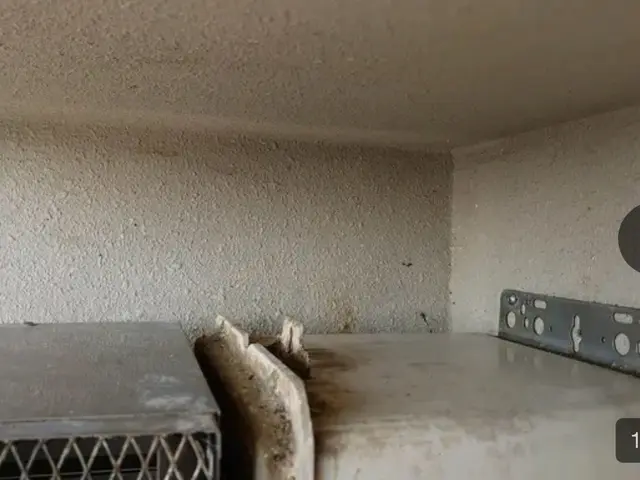 害鳥の糞を完全除去！W除菌、消臭込み。常に研究している害鳥一筋対策専門会社です。サービスの画像