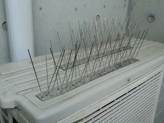 害鳥の糞を完全除去！W除菌、消臭込み。常に研究している害鳥一筋対策専門会社です。サービスの画像