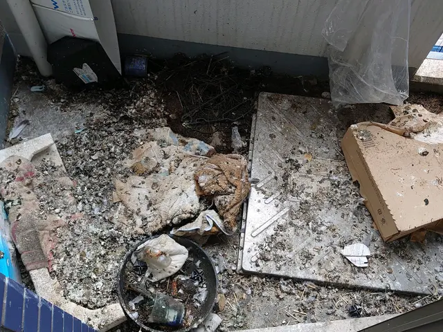 害鳥の糞を完全除去！W除菌、消臭込み。常に研究している害鳥一筋対策専門会社です。サービスの画像