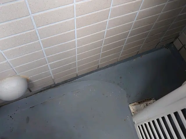 窓が開けられる生活を取り戻しましょう。害鳥の糞を完全除去【害鳥対策専門会社】サービスの画像
