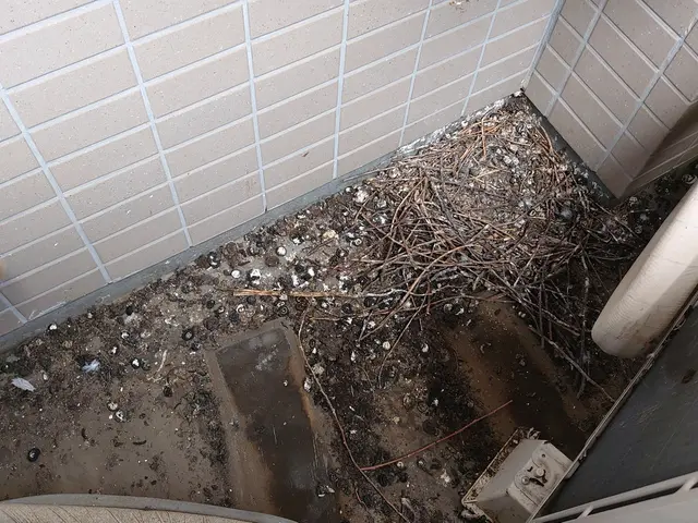 害鳥の糞を完全除去！W除菌、消臭込み。常に研究している害鳥一筋対策専門会社です。サービスの画像