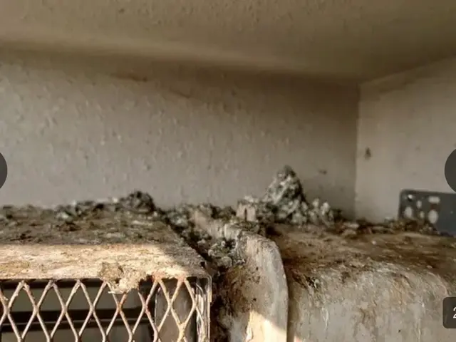 害鳥の糞を完全除去！W除菌、消臭込み。常に研究している害鳥一筋対策専門会社です。サービスの画像