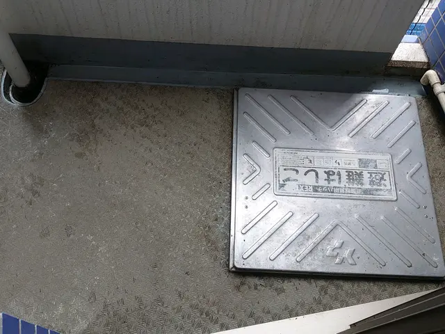 害鳥の糞を完全除去！W除菌、消臭込み。常に研究している害鳥一筋対策専門会社です。サービスの画像