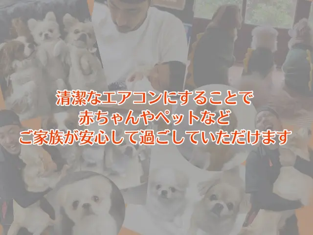 ★特典充実★3台で防カビ・4台で最強光触媒！安心の自社施工＆無料特典中！サービスの画像