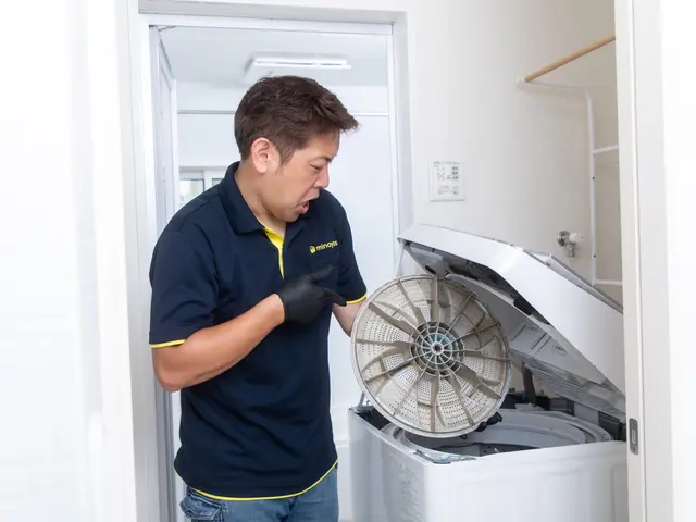 ついにサービス開始！SDGsの洗濯機クリーニング！小さいお子様、ペットも安心。サービスの画像