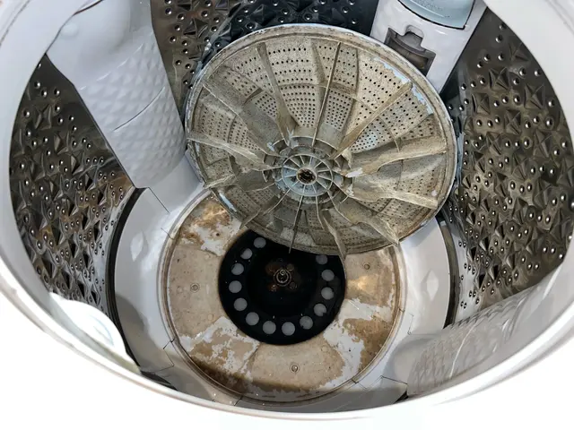ついにサービス開始！SDGsの洗濯機クリーニング！小さいお子様、ペットも安心。サービスの画像