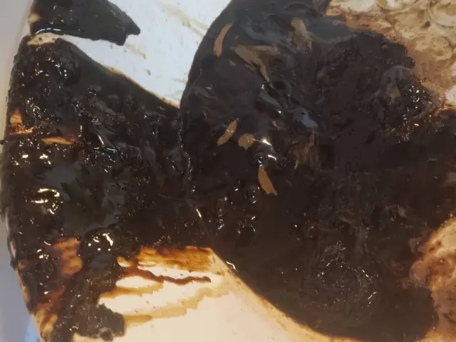 オープン価格☆経験豊富！安心してお任せください！水回りセット（キッチン+換気扇）サービスの画像