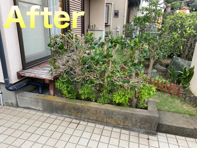 【柏発】明治から続く老舗の技術！松の手入れもおまかせください(*^^*)サービスの画像