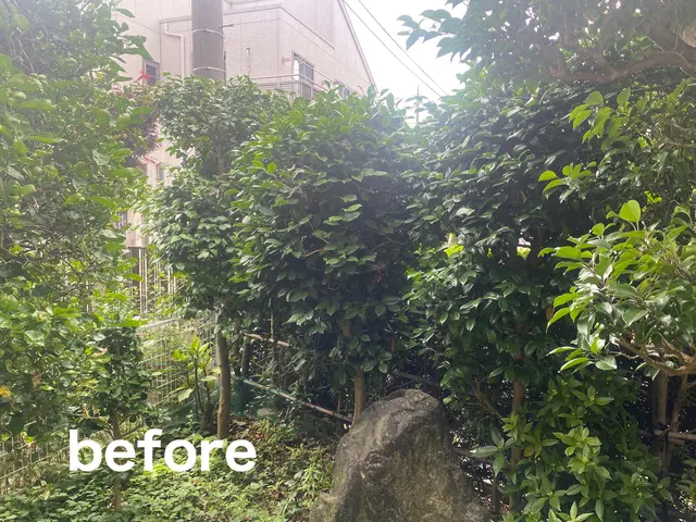 【柏発】明治から続く老舗の技術！松の手入れもおまかせください(*^^*)サービスの画像