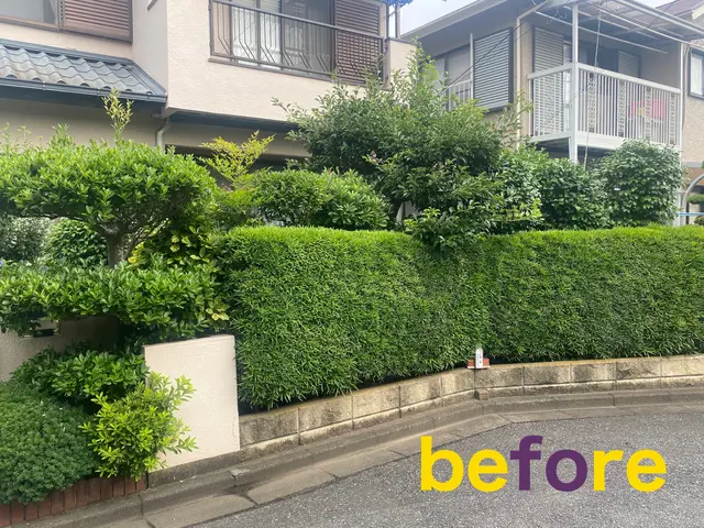 【柏発】明治から続く老舗の技術！松の手入れもおまかせください(*^^*)サービスの画像