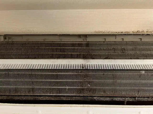 ≫ 今だけ防カビ0円 ≪ 徹底洗浄でお部屋に清潔な空気を！サービスの画像