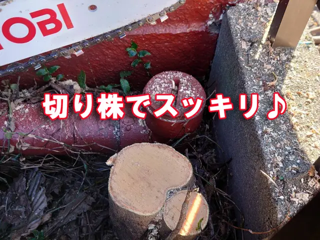 【草むしりのついでに・・おススメです】高くて困った木の伐採もご相談ください！！！サービスの画像