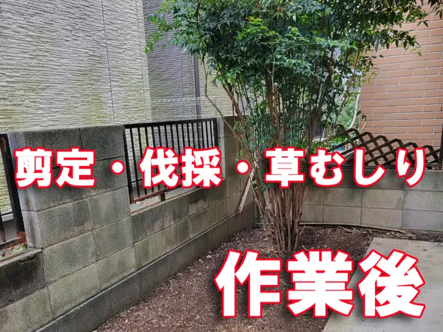 【草むしりのついでに・・おススメです】高くて困った木の伐採もご相談ください！！！サービスの画像