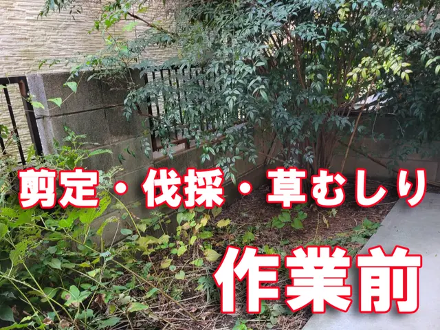 【草むしりのついでに・・おススメです】高くて困った木の伐採もご相談ください！！！サービスの画像