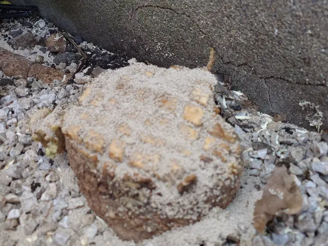 1本からでも大丈夫(^o^)　顧客満足No1＼(^o^)／職人気質な作業員（笑）サービスの画像