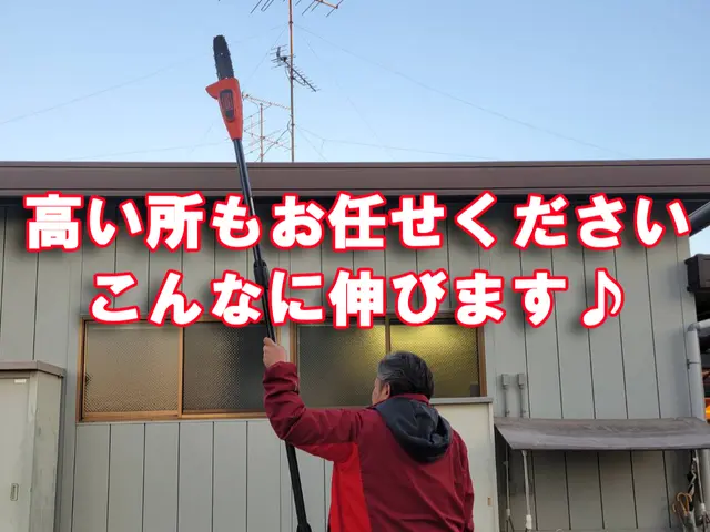 【草むしりのついでに・・おススメです】高くて困った木の伐採もご相談ください！！！サービスの画像