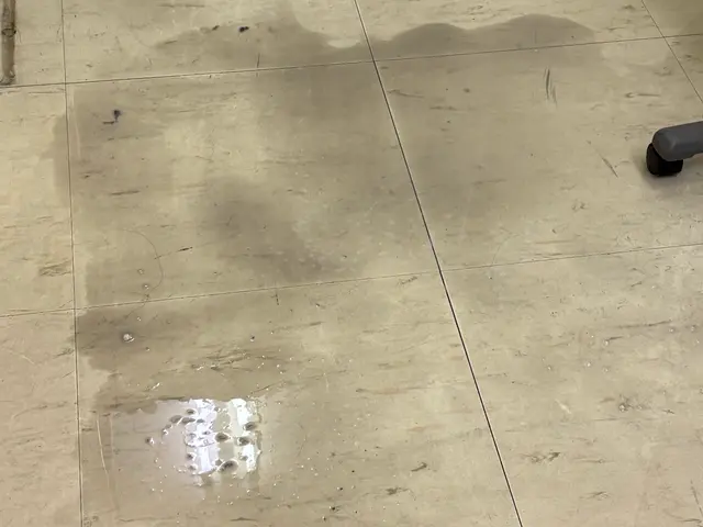 床清掃・ワックスがけ！店舗、施設のフロアをキレイにします！！サービスの画像