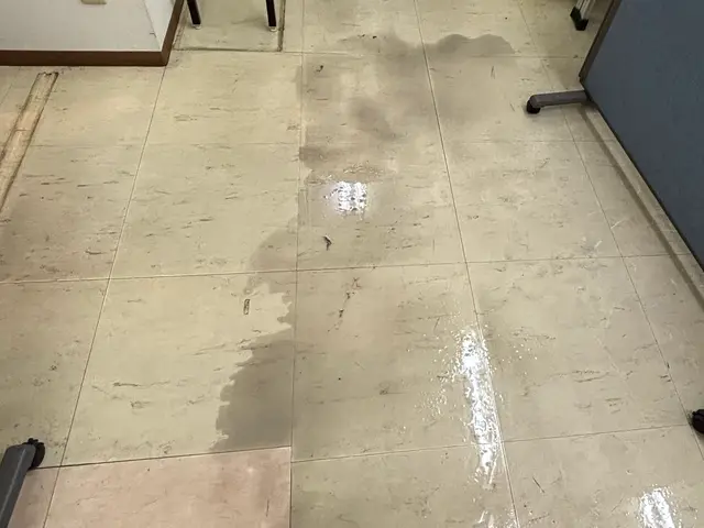 床清掃・ワックスがけ！店舗、施設のフロアをキレイにします！！サービスの画像