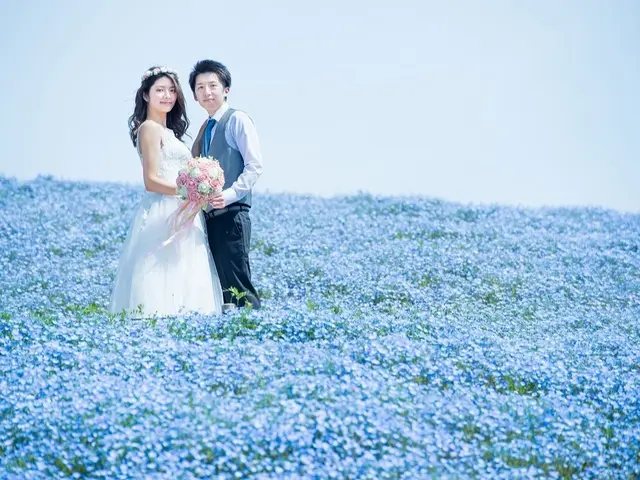 【キャリア12年以上の実績】茨城県内密着！◆ひたちなか市在住