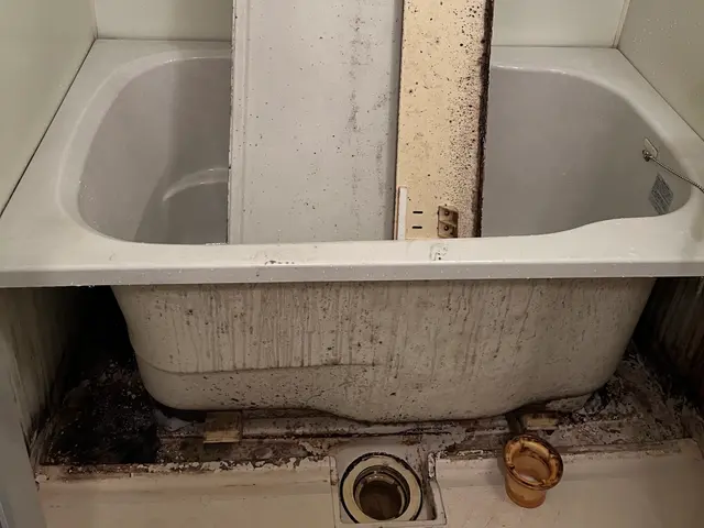 気になる浴室と換気扇をまとめて綺麗に！子育て家庭に選ばれる徹底清掃サービスの画像