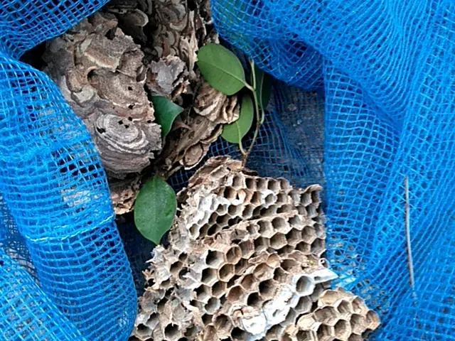 即日・翌日対応可◆再発保証付！！営業時間外・対応地域外のご相談OK！サービスの画像