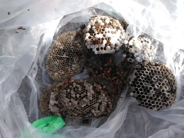 即日・翌日対応可◆再発保証付！！営業時間外・対応地域外のご相談OK！サービスの画像