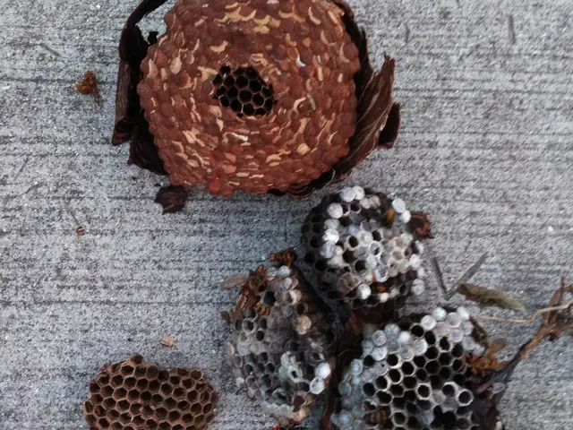 即日・翌日対応可◆再発保証付！！営業時間外・対応地域外のご相談OK！サービスの画像