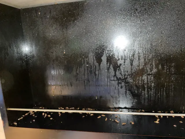 ★チャバネゴキブリ非常によく効きます！！★経験豊富なスタッフにお任せくださいサービスの画像