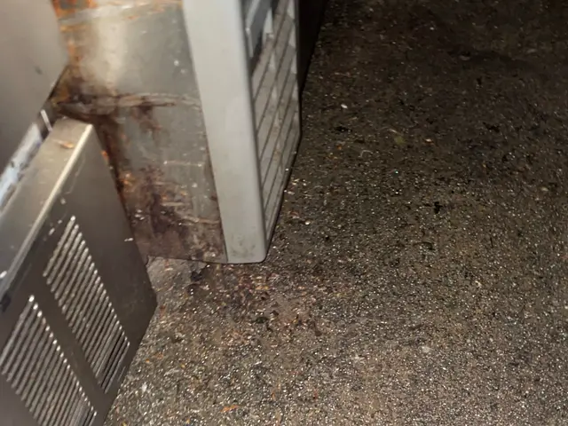 ★チャバネゴキブリ非常によく効きます！！★経験豊富なスタッフにお任せくださいサービスの画像