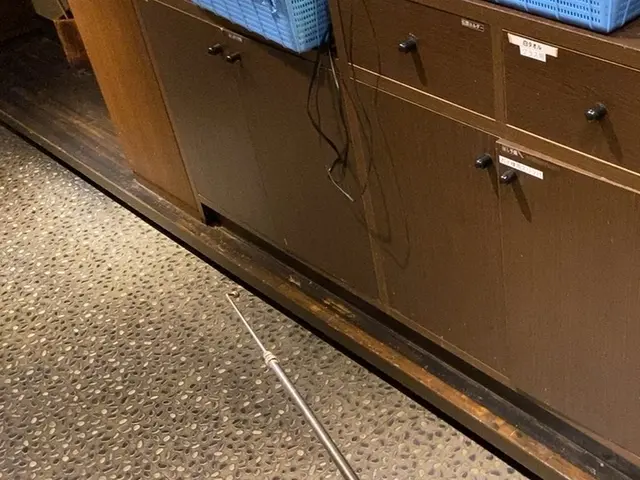 ★チャバネゴキブリ非常によく効きます！！★経験豊富なスタッフにお任せくださいサービスの画像