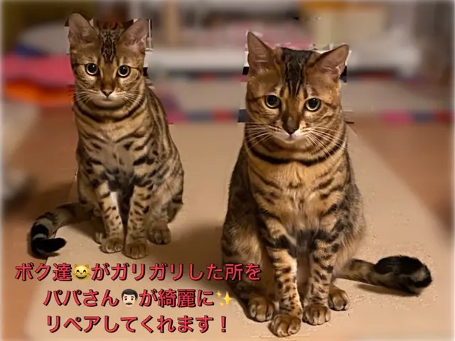 【建築のプロが直接対応】◎構造と材質を知り尽くした店長による補修サービス◎サービスの画像