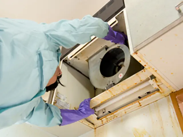 《清潔な身だしなみ・元気なご挨拶》損保加入済◆京の街 生活の御用きき！サービスの画像