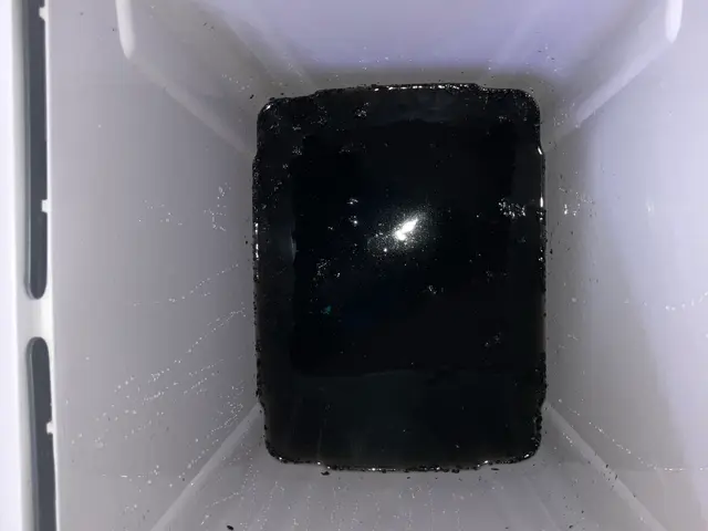 【茨城・栃木 2拠点発】丁寧に手の届かない所キレイにします！損害保険加入店サービスの画像