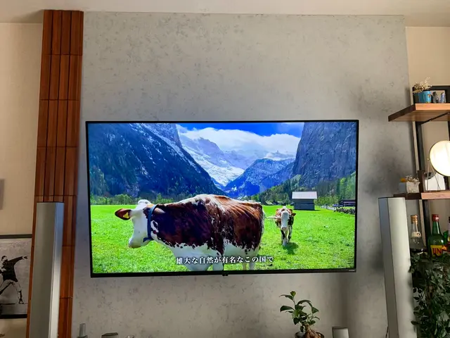 テレビを掛けたり、掛けられるよう壁造作塗装します。サービスの画像