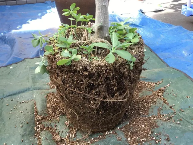 ◎ご相談は無料◎店長の私が伺います◎営業時間外・対応地域外でもご要望の対応しますサービスの画像