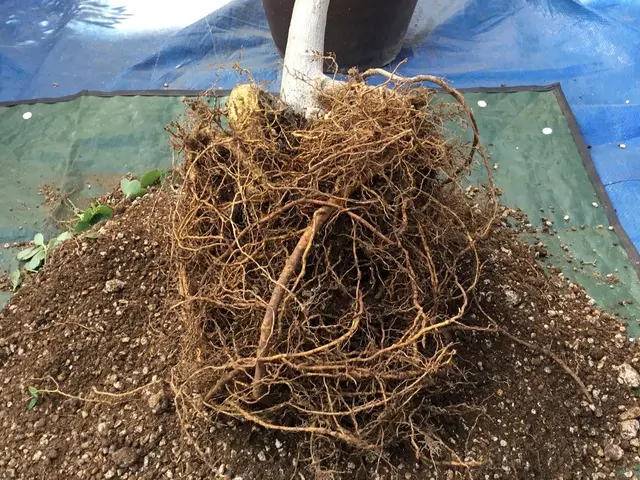 ◎ご相談は無料◎店長の私が伺います◎営業時間外・対応地域外でもご要望の対応しますサービスの画像