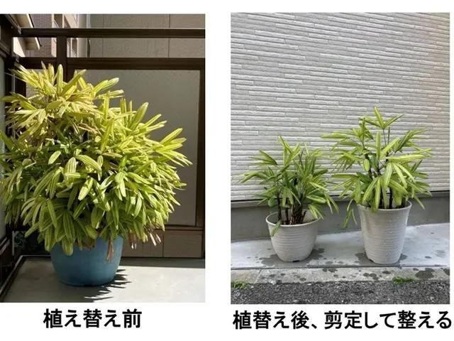 ◎ご相談は無料◎店長の私が伺います◎営業時間外・対応地域外でもご要望の対応しますサービスの画像