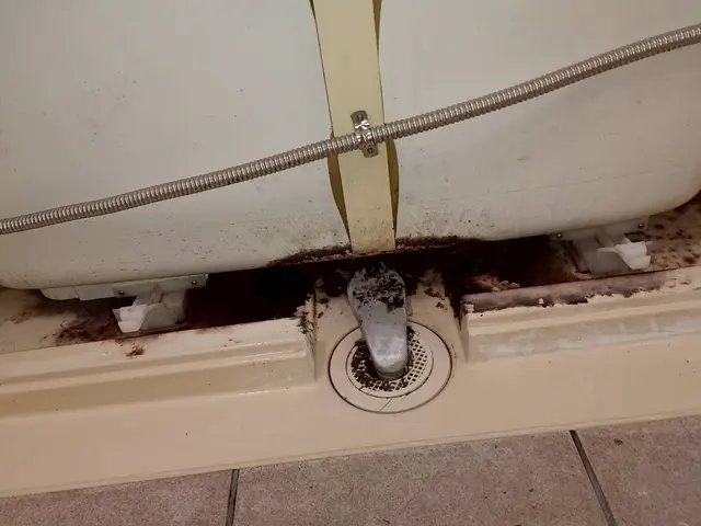 エプロン内部も作業します！浴槽・壁・床・天井・窓・鏡の汚れ綺麗に！サービスの画像