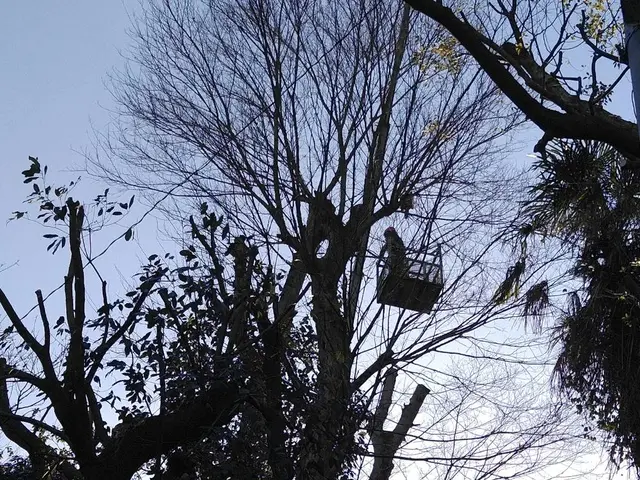 【創業明治38年・信頼と実績の老舗】◆作業外注なし◆駐車代お店負担サービスの画像