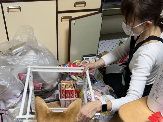 【子育てママ応援】片付け迷子を救う！無理ない片づけで、家も心もスッキリ整えますサービスの画像