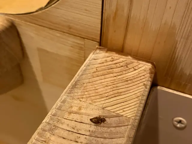 【ホテル運営もする安心法人】確かな駆除技術とホテル品質の接客！アフターフォロー◎サービスの画像