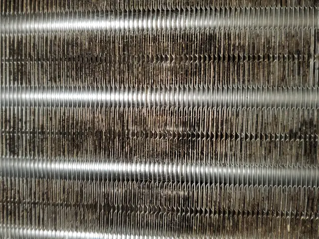 【損害保険加入済み！】夫婦2人で伺います！【抗菌コート無料】サービスの画像