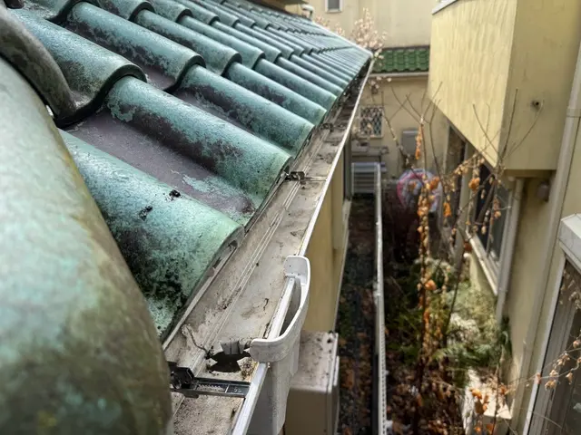 雨樋清掃、交換修理等サービスの画像