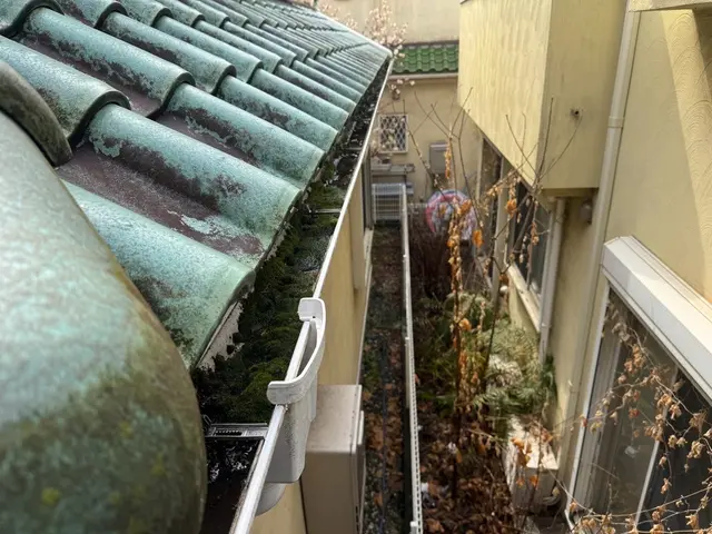 雨樋清掃、交換修理等サービスの画像