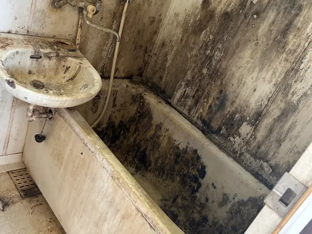 ◆年中無休◆毎月50件実績◆女性スタッフ同行可能◆アフターフォローも万全！サービスの画像