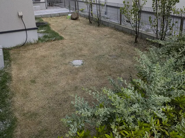 芝生のお手入れおまかせください！喜んで賜ります！外注なし、店長が伺いますサービスの画像