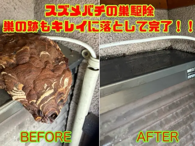 【11月6日◉予約可◉即返信】◉口コミ211件◉エリア１位◉巣50㎝まで五千円サービスの画像