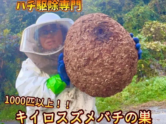 【11月6日◉予約可◉即返信】◉口コミ211件◉エリア１位◉巣50㎝まで五千円サービスの画像