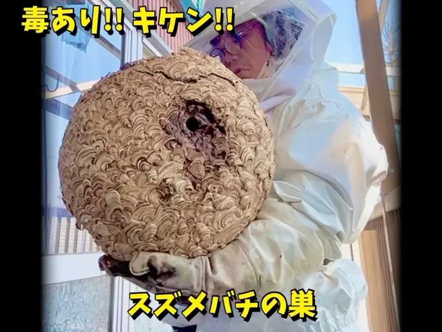 【11月6日◉予約可◉即返信】◉口コミ211件◉エリア１位◉巣50㎝まで五千円サービスの画像